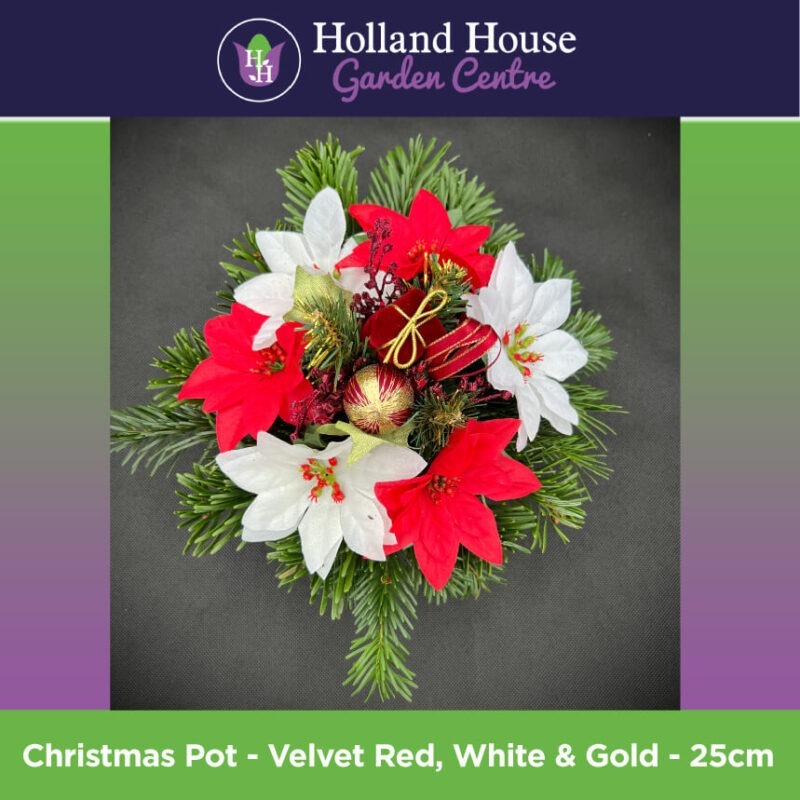 Christmas Pot - Velvet Red, White & Gold - 25cm-