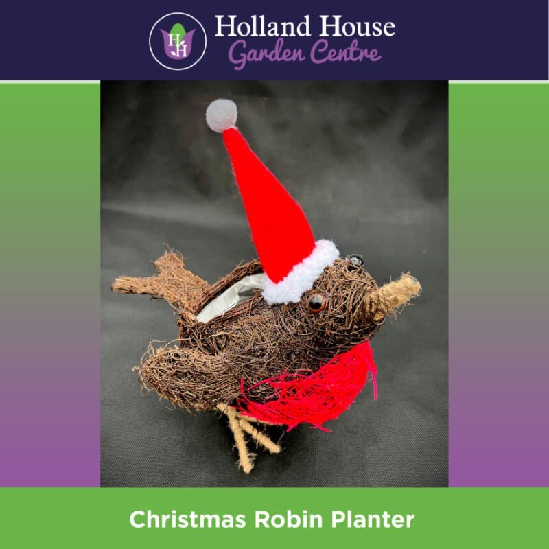 Christmas Robin Planter