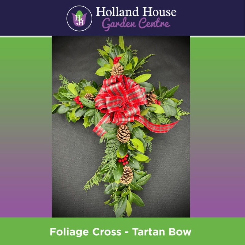 Foliage Cross Tartan Bow Christmas Trees Preston