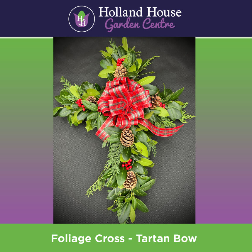 Foliage Cross Tartan Bow Christmas Trees Preston
