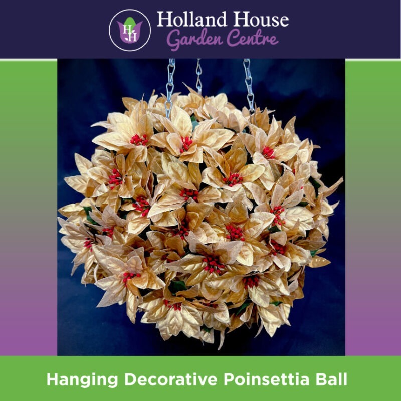Hanging Decorative Poinsettia Ball - Gold