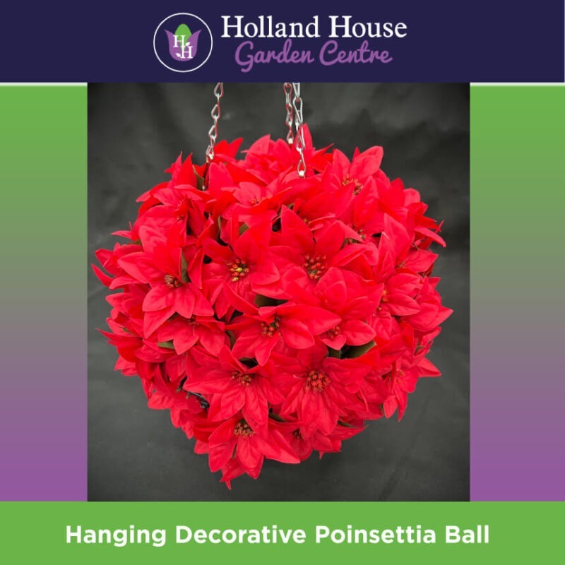 Hanging Decorative Poinsettia Ball - Red