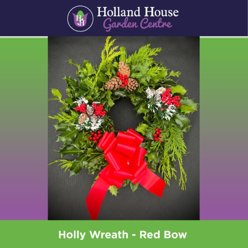 Holly Wreath - Red Bow