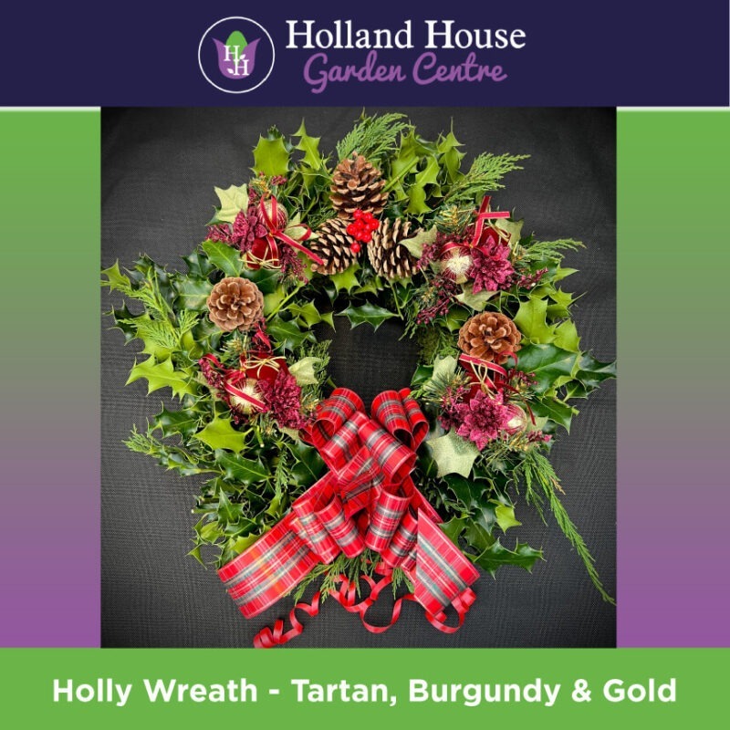 Holly Wreath Tartan, Burgundy & Gold