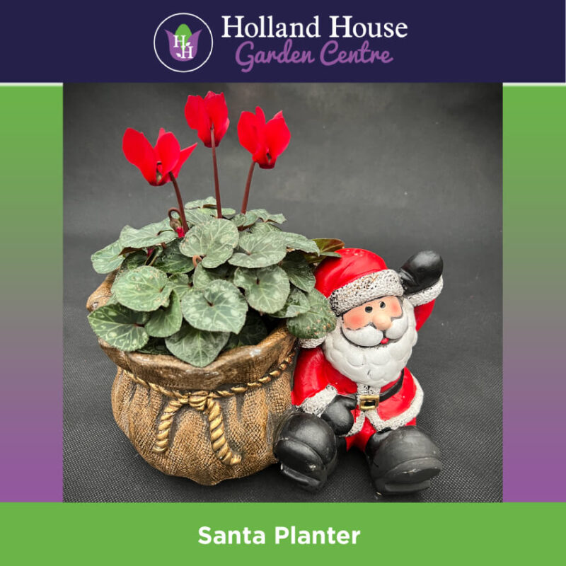 Santa Planter