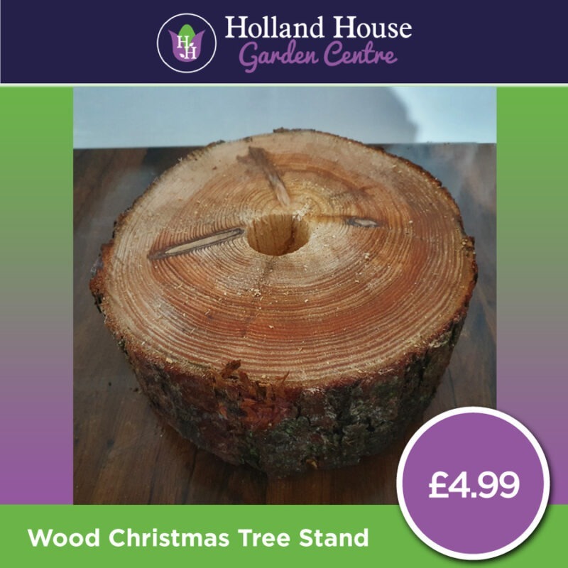 Wooden Christmas Tree Stand Christmas Trees Preston